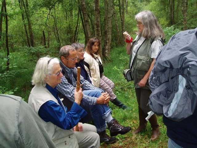 2007 07 Marais du Cerisaie 04